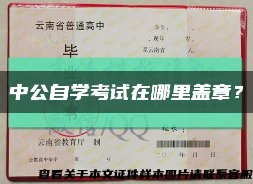 中公自學考試在哪里蓋章？縮略圖
