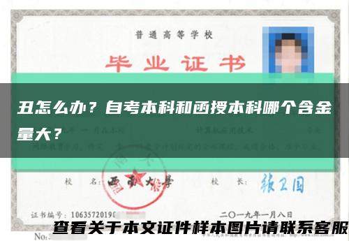 丑怎么辦？自考本科和函授本科哪個含金量大？縮略圖