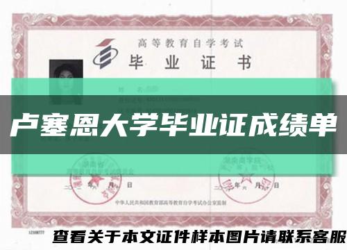 盧塞恩大學畢業證成績單縮略圖