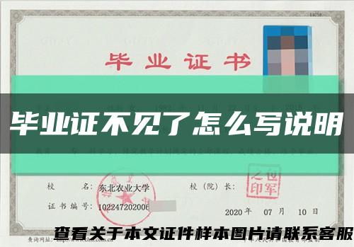 畢業證不見了怎么寫說明縮略圖