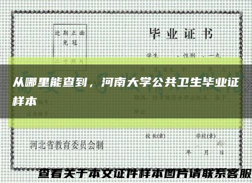 從哪里能查到，河南大學公共衛生畢業證樣本縮略圖