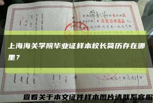 上海海關學院畢業證樣本校長簡歷存在哪里？縮略圖