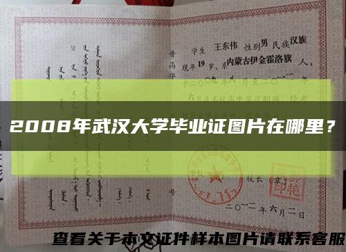 2008年武漢大學畢業證圖片在哪里？縮略圖