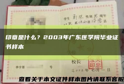 印章是什么？2003年廣東醫學院畢業證書樣本縮略圖