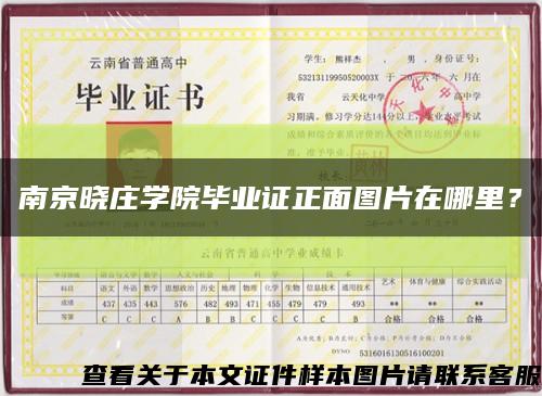 南京曉莊學院畢業證正面圖片在哪里？縮略圖