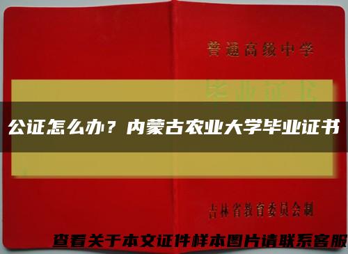公證怎么辦？內蒙古農業大學畢業證書縮略圖