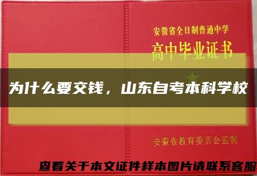 為什么要交錢，山東自考本科學?？s略圖