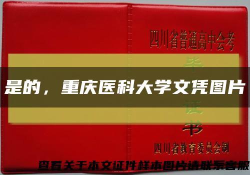 是的，重慶醫科大學文憑圖片縮略圖