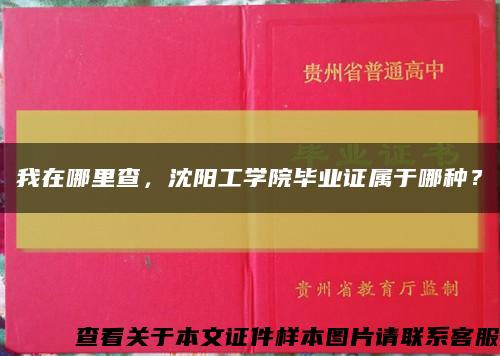 我在哪里查，沈陽工學院畢業證屬于哪種？縮略圖