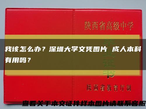 我該怎么辦？深圳大學文憑圖片 成人本科有用嗎？縮略圖