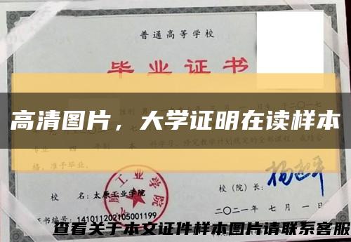 高清圖片，大學證明在讀樣本縮略圖