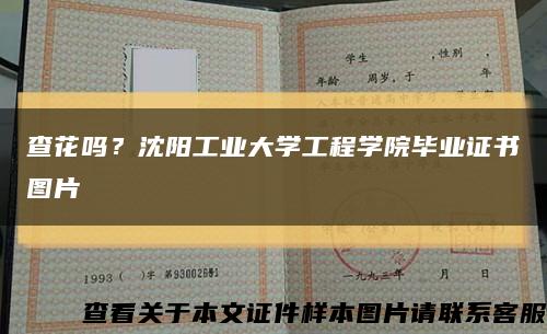查花嗎？沈陽工業大學工程學院畢業證書圖片縮略圖