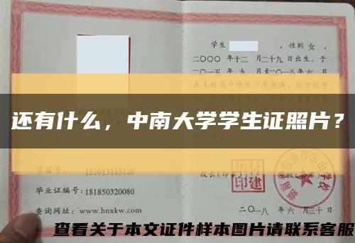 還有什么，中南大學學生證照片？縮略圖