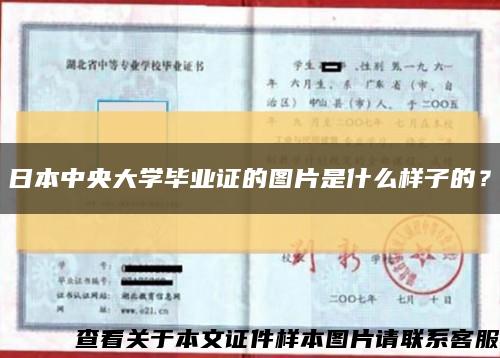 日本中央大學畢業證的圖片是什么樣子的？縮略圖