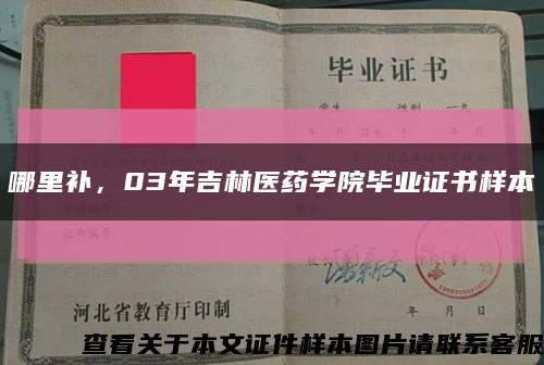 哪里補，03年吉林醫藥學院畢業證書樣本縮略圖