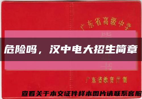 危險嗎，漢中電大招生簡章縮略圖