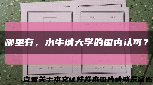 哪里有，水牛城大學的國內認可？縮略圖