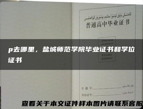 p去哪里，鹽城師范學院畢業證書和學位證書縮略圖