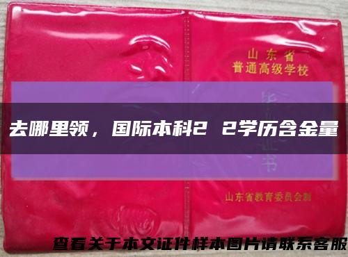 去哪里領，國際本科2 2學歷含金量縮略圖