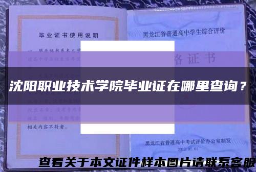 沈陽職業技術學院畢業證在哪里查詢？縮略圖