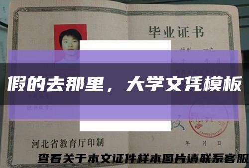 假的去那里，大學文憑模板縮略圖