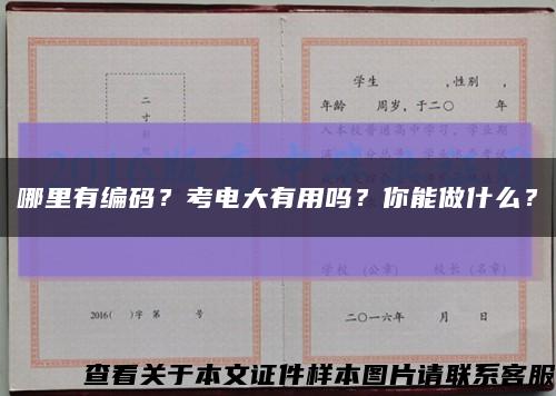 哪里有編碼？考電大有用嗎？你能做什么？縮略圖