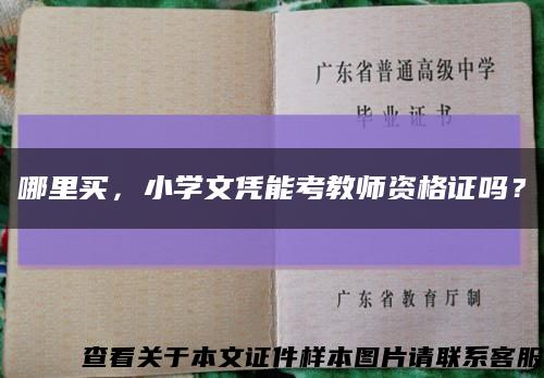 哪里買，小學文憑能考教師資格證嗎？縮略圖