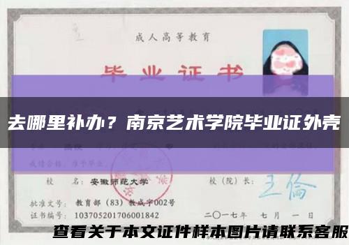 去哪里補辦？南京藝術學院畢業證外殼縮略圖