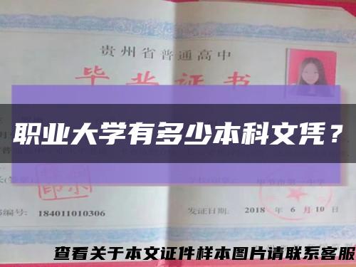 職業大學有多少本科文憑？縮略圖