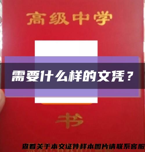 需要什么樣的文憑？縮略圖