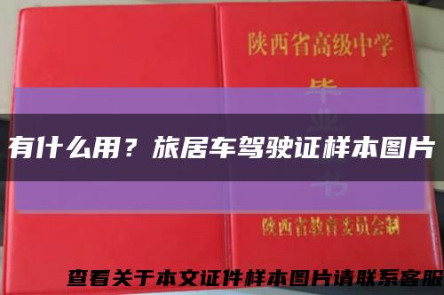 有什么用？旅居車駕駛證樣本圖片縮略圖