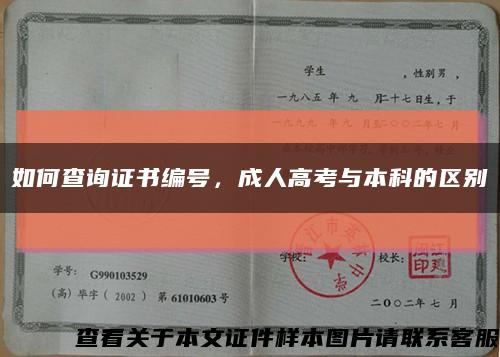 如何查詢證書編號，成人高考與本科的區別縮略圖