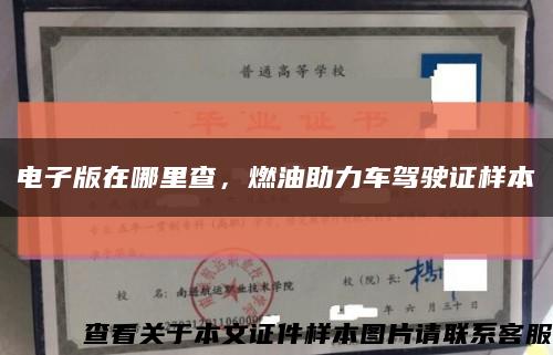 電子版在哪里查，燃油助力車駕駛證樣本縮略圖