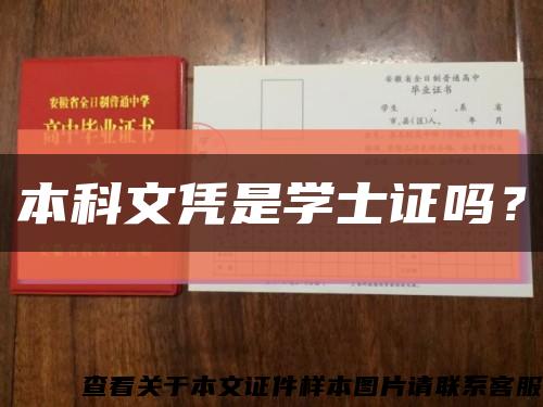 本科文憑是學士證嗎？縮略圖