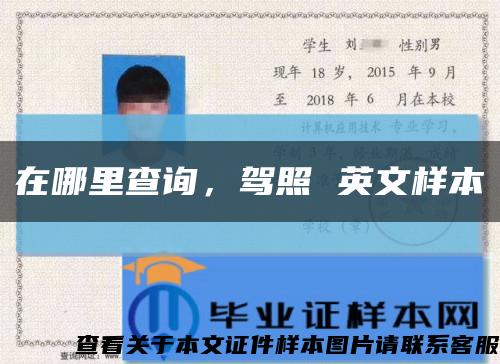 在哪里查詢，駕照 英文樣本縮略圖