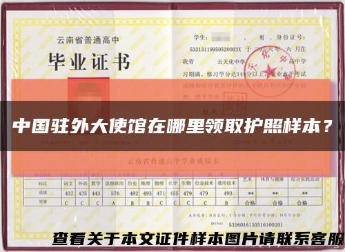 中國駐外大使館在哪里領取護照樣本？縮略圖