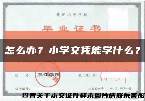 怎么辦？小學文憑能學什么？縮略圖