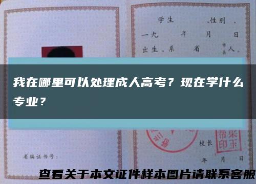 我在哪里可以處理成人高考？現在學什么專業？縮略圖