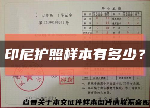 印尼護照樣本有多少？縮略圖