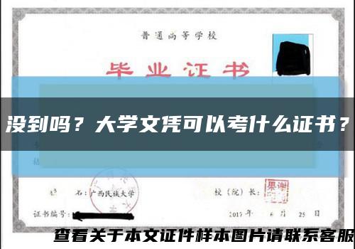 沒到嗎？大學文憑可以考什么證書？縮略圖