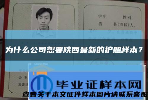 為什么公司想要陜西最新的護照樣本？縮略圖