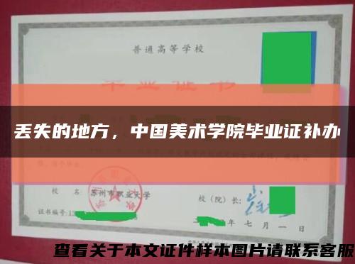 丟失的地方，中國美術學院畢業證補辦縮略圖
