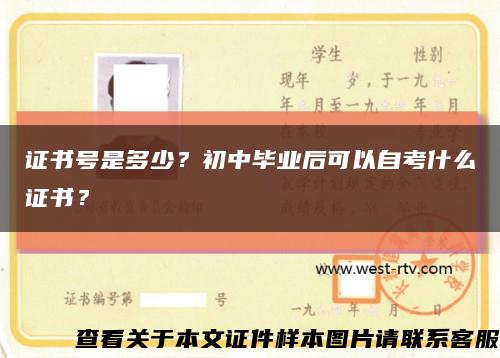證書號是多少？初中畢業后可以自考什么證書？縮略圖