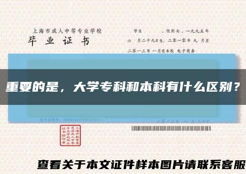 重要的是，大學?？坪捅究朴惺裁磪^別？縮略圖