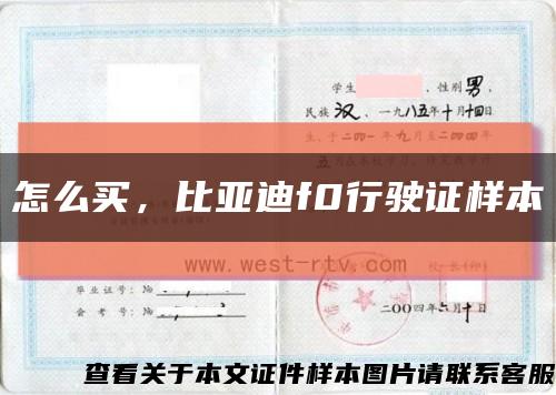 怎么買，比亞迪f0行駛證樣本縮略圖