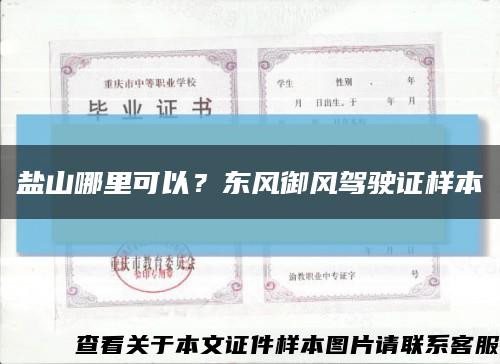 鹽山哪里可以？東風御風駕駛證樣本縮略圖