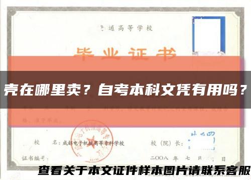 殼在哪里賣？自考本科文憑有用嗎？縮略圖