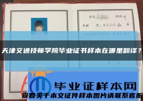 天津交通技師學院畢業證書樣本在哪里翻譯？縮略圖