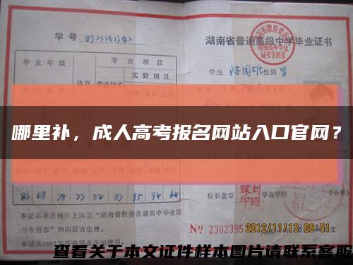 哪里補，成人高考報名網站入口官網？縮略圖