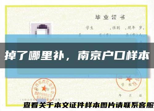 掉了哪里補，南京戶口樣本縮略圖